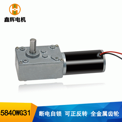 5840渦輪蝸桿減速馬達24V靜音自鎖窗簾電機31直流減速電機