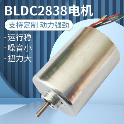 BLCD2838無刷小電機(jī)馬達(dá)靜音理發(fā)電剪馬達(dá)小型變速直流電機(jī)