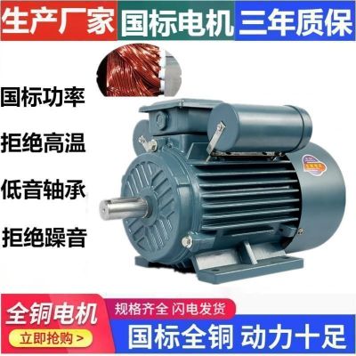 國(guó)標(biāo)純銅單相電機(jī)220V單相雙值電容電機(jī)0.37~7.5KW臥 式立式電機(jī)