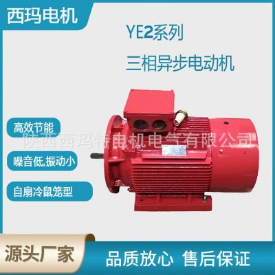 西安西瑪電機(jī)YE2-315L2-6WF極132KW B3側(cè)右 低壓交流三相異步電動(dòng)