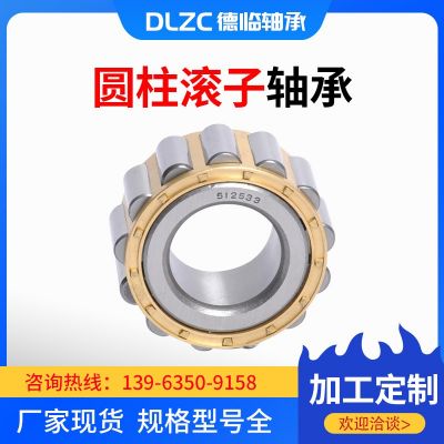 RLS圓柱滾子軸承RLS5 RLS7 RLS8 RLS9 RLS10 RLS11 RLS12 RLS13