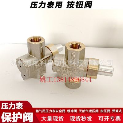 壓力表按鈕閥/燃氣膜盒表防過壓保護閥/微壓表保護閥/按測閥