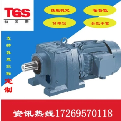 R107減速機(jī) TGS東海 斜齒輪硬齒面 同軸 超高精度 R系列 D系列