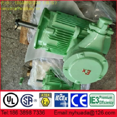 新二級能效NANYANG防爆電機YBX4-100L1-4 2.2kW