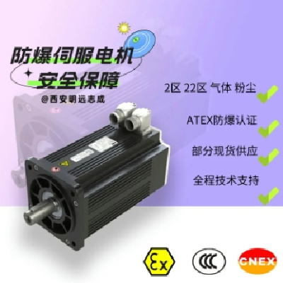 進(jìn)口防爆伺服電機(jī) 專用于噴涂印刷 雷管 1區(qū) 2區(qū) 氣體粉塵環(huán)境