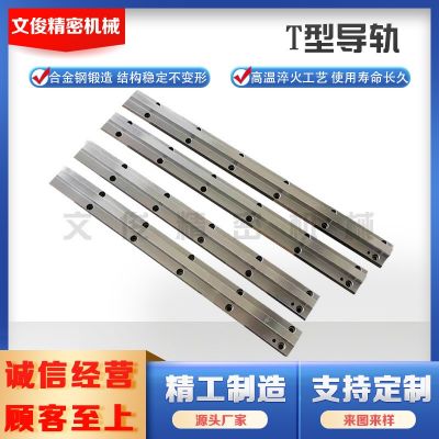 機(jī)床導(dǎo)軌重載直線軸承燕尾槽鑲鋼三角矩形V型滾輪齒條導(dǎo)軌滑軌道