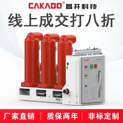 廠家直銷VS1-12側(cè)裝式真空斷路器 質(zhì)保兩年