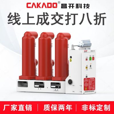 昌開CKV2-12側(cè)裝式真空斷路器 VSG-12真空斷路器