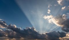 豐田汽車，亂中求治