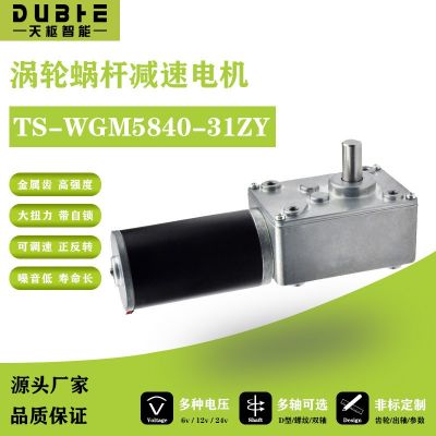 5840-31ZY渦輪蝸桿直流減速電機12v24調速自鎖齒輪大 扭矩雙軸馬達