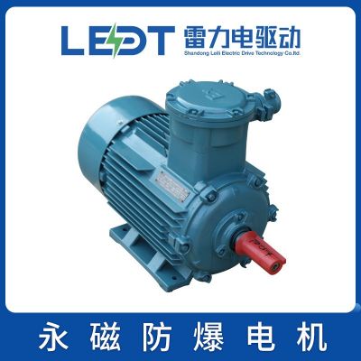 永磁防爆電機 TBYPCX112/132/160/180/200/225/280/315/355—1500