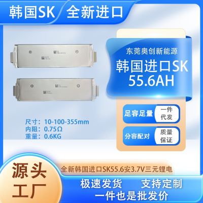 全新韓國進口sk55.6ah原極耳帶碼A品三元聚合物高倍率鋰電芯電動