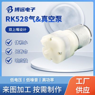 RK528氣真空泵雙上嘴電機(jī)馬達(dá) 美容儀微型直流電機(jī)馬達(dá)現(xiàn)貨批發(fā)