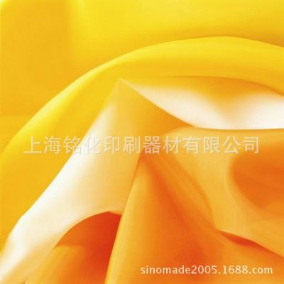 供應(yīng)意大利紗帝SAATI網(wǎng)紗/紗帝黃網(wǎng)/進(jìn)口黃網(wǎng)/進(jìn)口白網(wǎng)