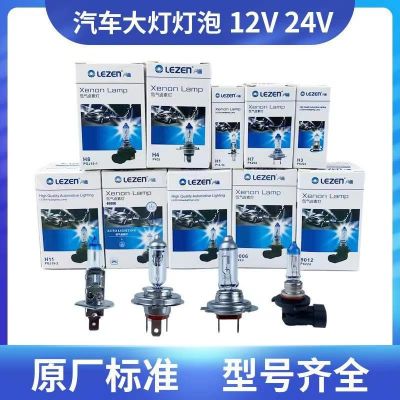 雷正汽車燈泡大燈遠(yuǎn)光燈泡近光燈泡批發(fā)12V24V H1H4H7H11H9