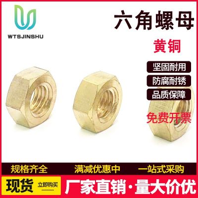 國標純黃銅螺帽銅外六角螺母金色鎖緊螺絲帽廠家M3M4M5M6M8M10M12
