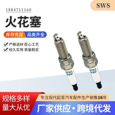 18847111601884911070火花塞汽車配件電源點火系統(tǒng)火花塞配點火針