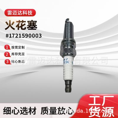 適用愛騰享譽(yù)雷斯特陸地柯蘭火花塞批發(fā)汽車配件1721590003火花塞
