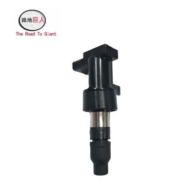 點(diǎn)火線圈 適用于汽車捷豹XFXJ 路虎發(fā)現(xiàn)攬勝專用點(diǎn)火器火花塞