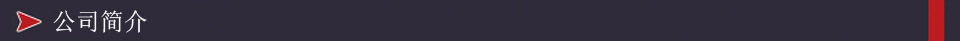 公司簡介