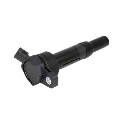 適用于 現(xiàn)代 索納塔 起亞 點火線圈 27300-2E000