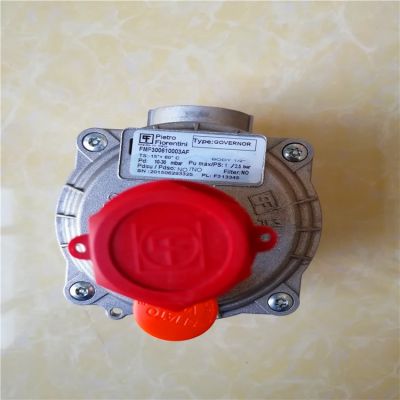 意大利菲奧調(diào)壓器30061天然氣穩(wěn)壓閥