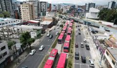 中國汽車在厄單月銷量占比超五成