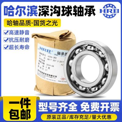 HRB 哈爾濱軸承 61900 61901 61902 61903 61904 - ZZ 2RZ